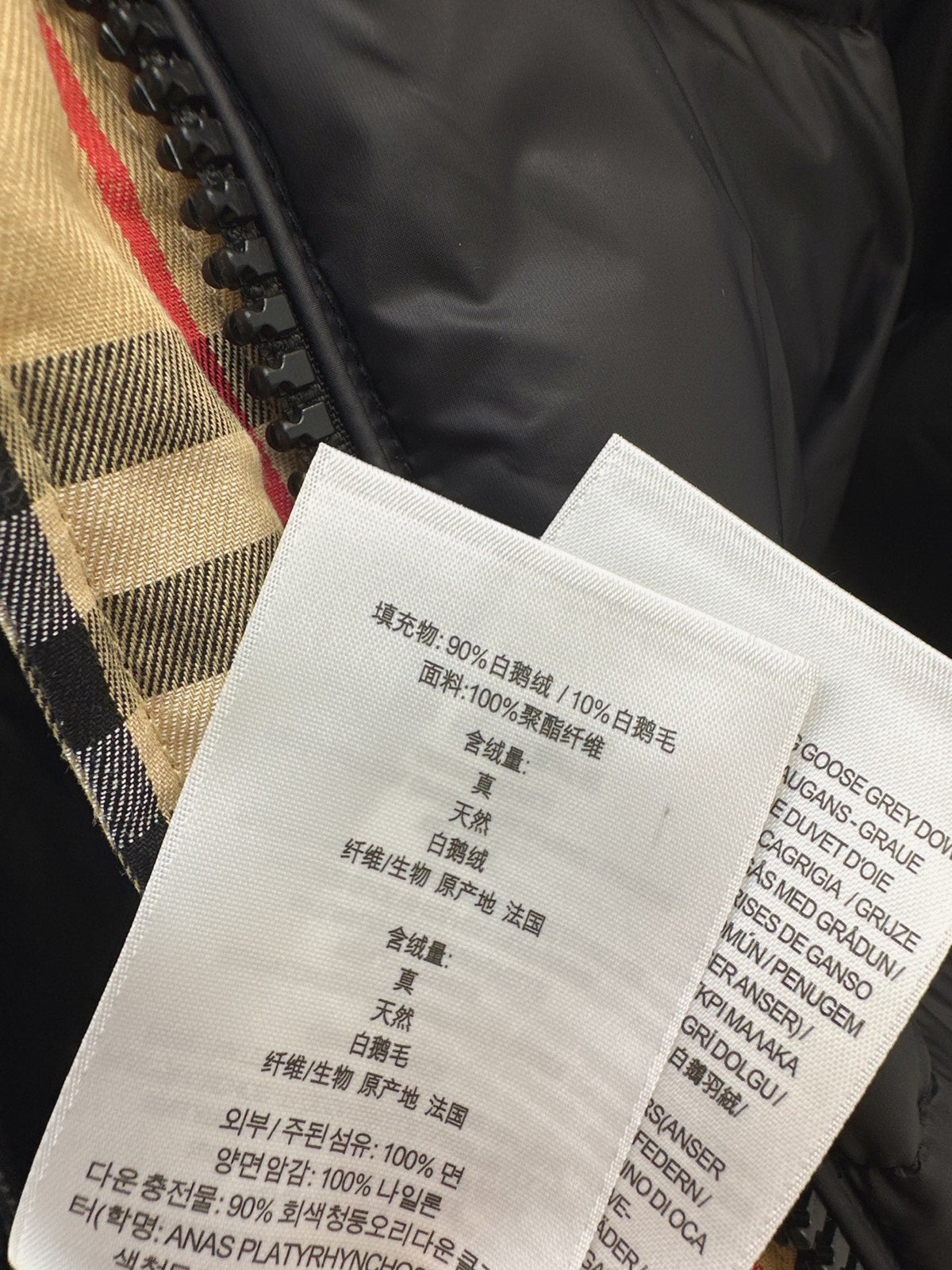26 Fall/Winter Latest Hooded Down Jacket