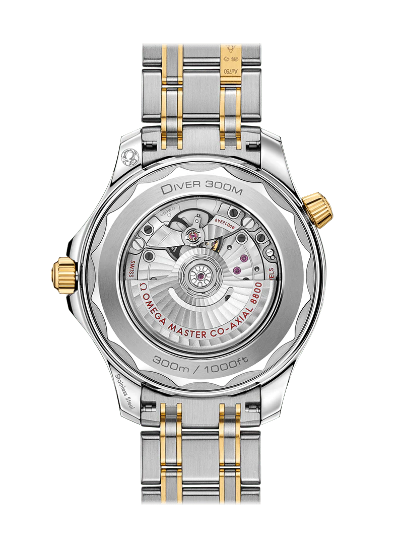 Blue Gold Steel - 904L Steel - Automatic - 42mm