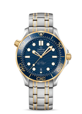 Blue Gold Steel - 904L Steel - Automatic - 42mm