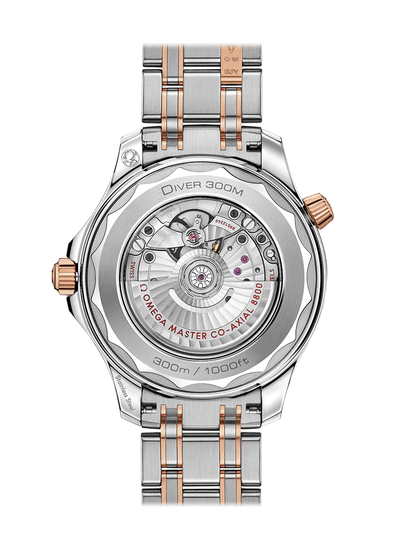 Black Dial - Withe Yellow 904L Steel - Automatic - 42mm