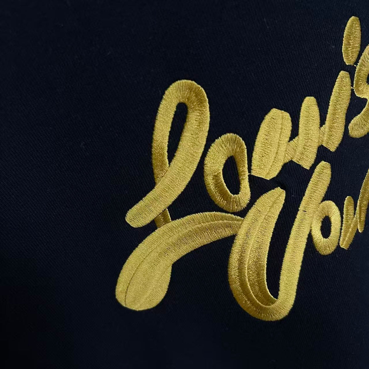 Gold thread embroidered letter logo round neck hoodie