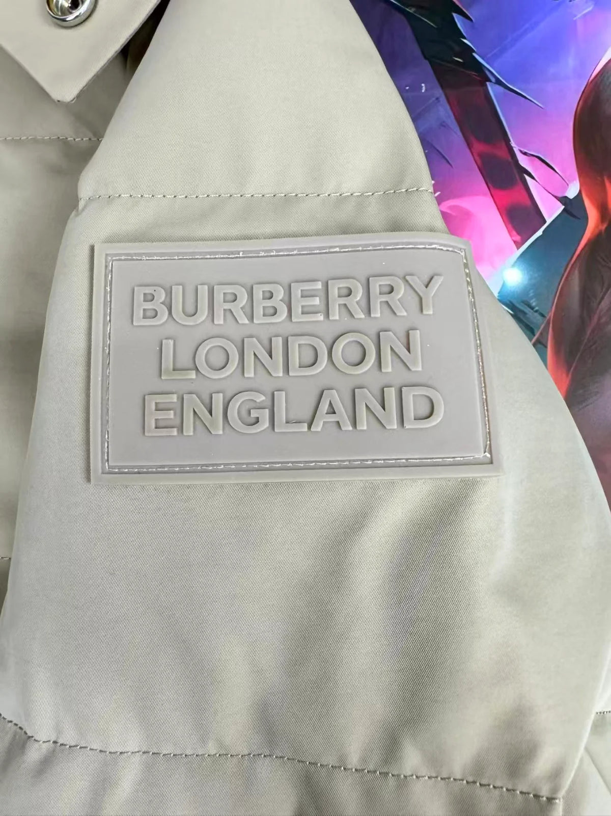 New detachable hooded down jacket