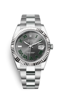 Grey Silver - 904L Steel - Automatic - 41mm