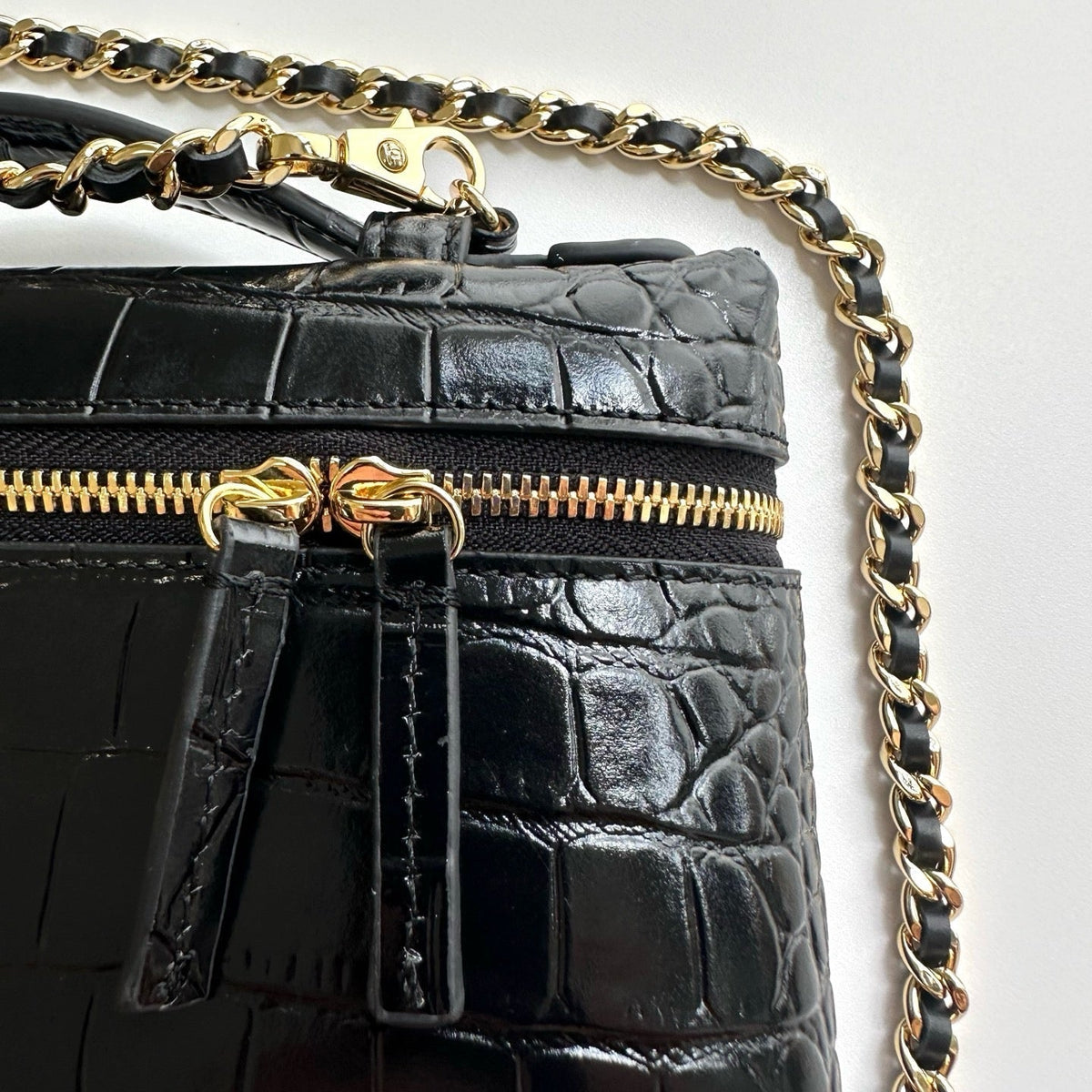 2026 Crocodile Embossed Vanity Bag 19.5cm Leather
