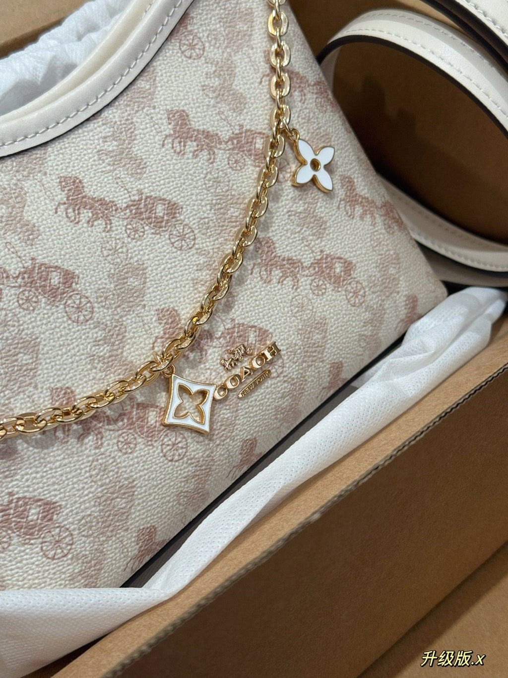 Carriage wandering bag