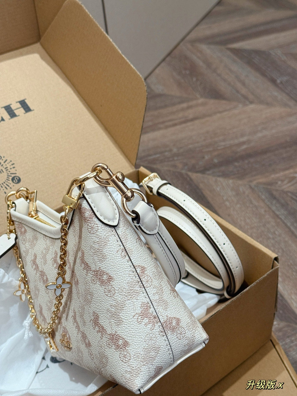 Carriage wandering bag