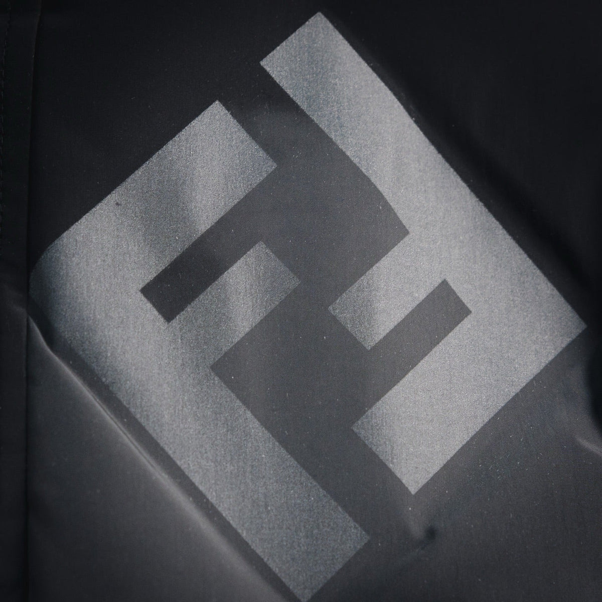 Fend 25fw down jacket