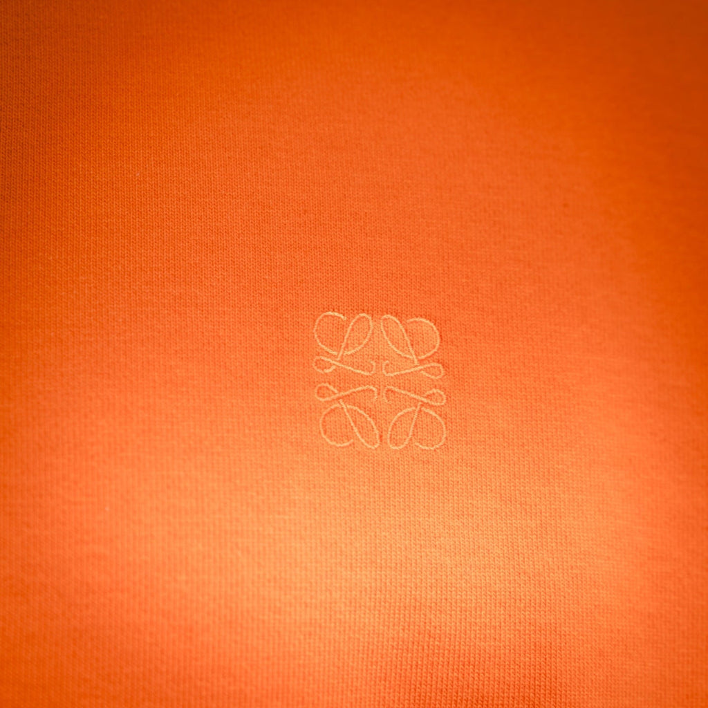 Loe 25fw embroidered sweatshirt
