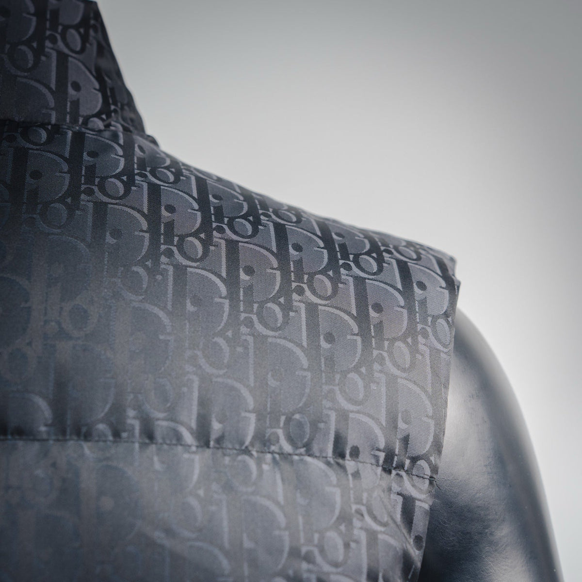 CD 25fw jacquard vest